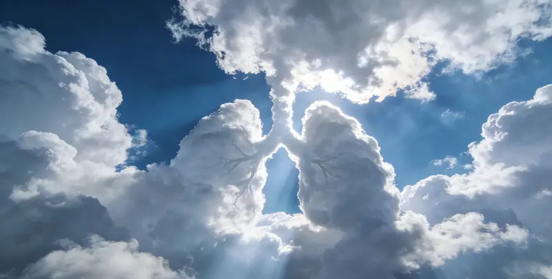 湛江肺癌68基因检测检测图1