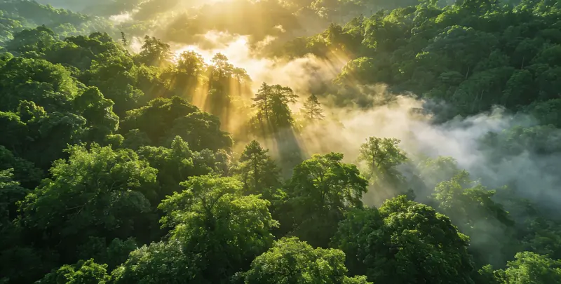 湛江肺癌12基因ctDNA突变检测(血液）检测图1