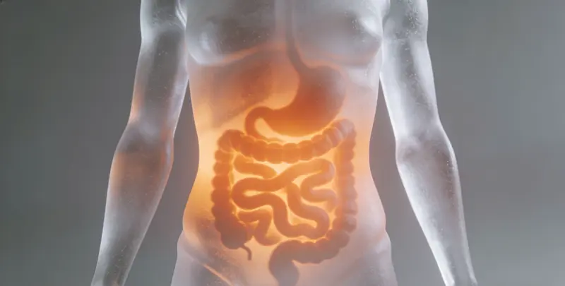 湛江胃癌分子分型基因检测项目（组织）检测图1